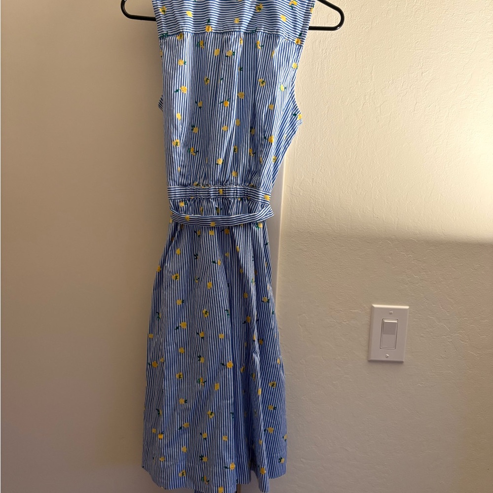 J. Crew Blue and White Striped Dress with Yellow Accents - Picture 2 of 6
